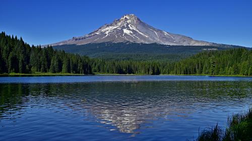 OREGON - Mt. Hood From Trillium Lake - August 2024 -