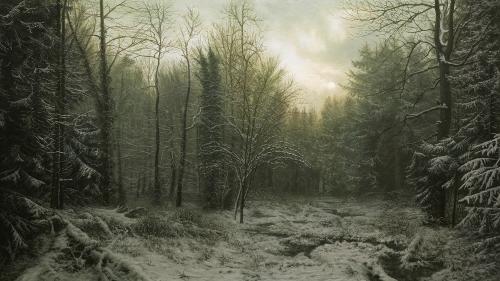 Snowy Forest on a Winter Morning by Michael Handt