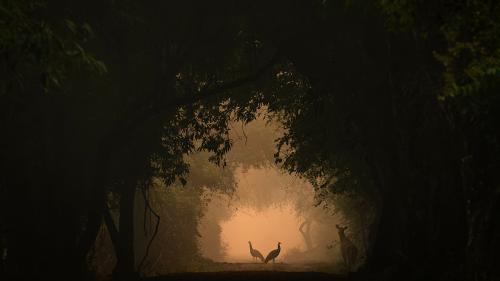 In The Spotlight by Shreyovi Mehta