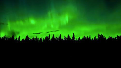 Northern Lights