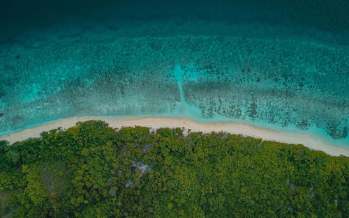 Maldivian shoreline