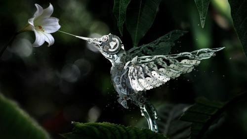 Clockwork Humming Bird