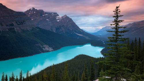 Peyto Lake, Canada