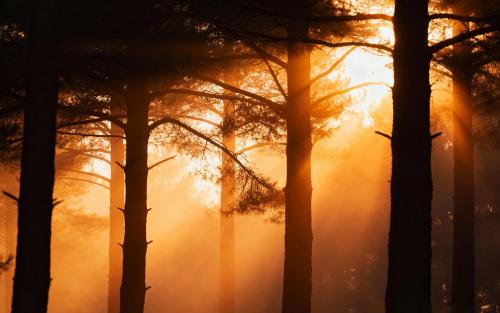 The kind of light that makes you stop for a second.