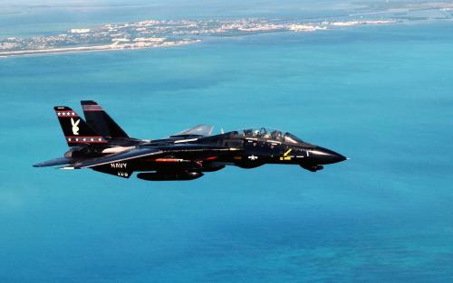 F-14 Tomcat with Black Bunny Livery