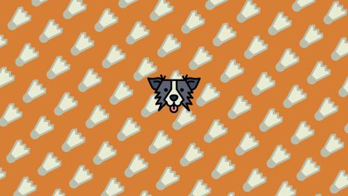 border collie &amp; badminton | orange