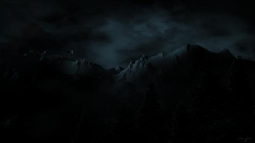 Night Owl
