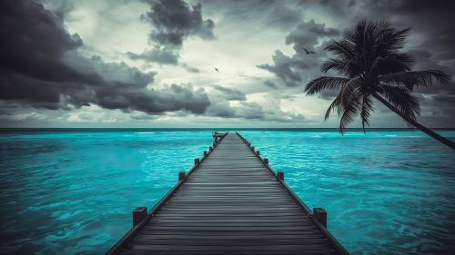 Moody Paradise