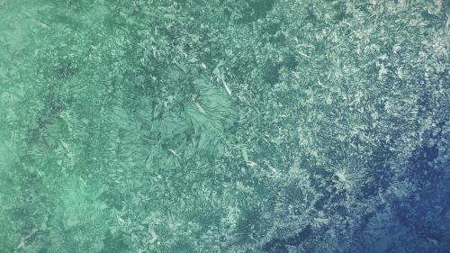 High Alpine Lake Ice