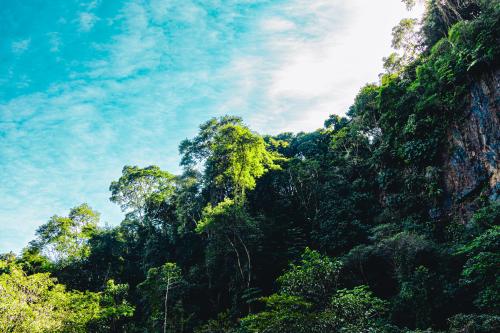 Green and Blue abandoned Quarry Division