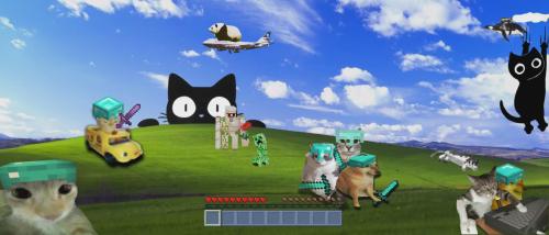 Windows xp wallpaper