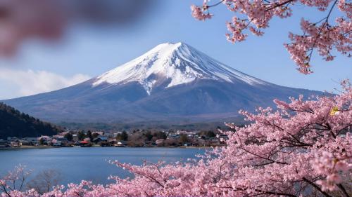 Mount Fuji with Cherry Blossoms