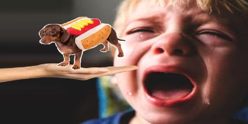 no rules about meme wallpapers