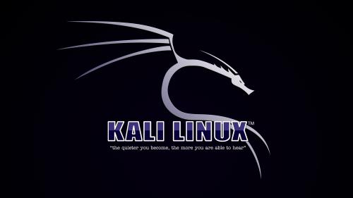 Kali Linux V1.1 Purple