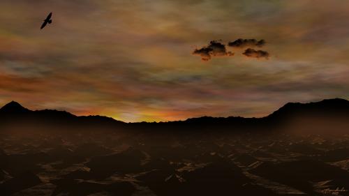 Real Estate Investor