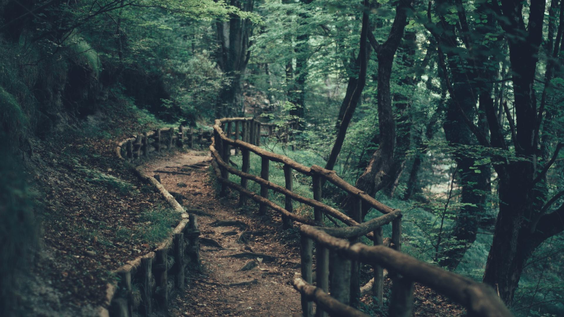 Wallpaper image