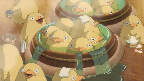 Miyazaki Ducks - Repost