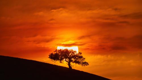 Salinas, California