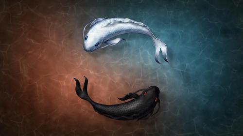 Yin and yang fish symbol