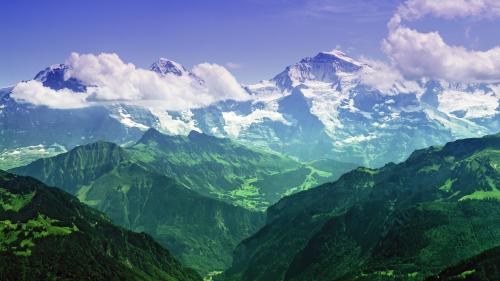 Landscape
