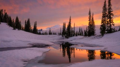 Tipsoo Lake, Washington