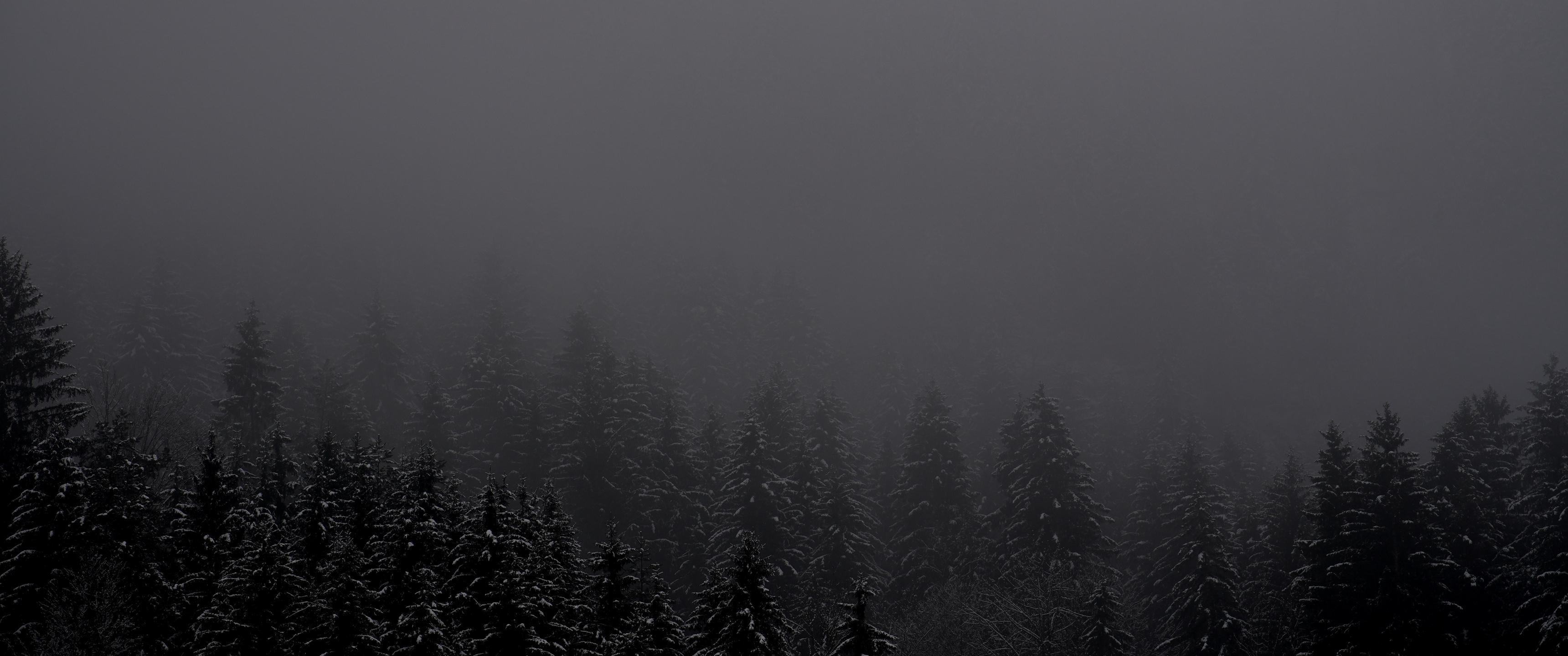 Wallpaper image