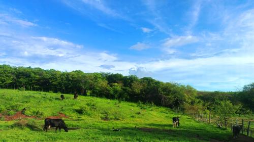 CE, Brazil