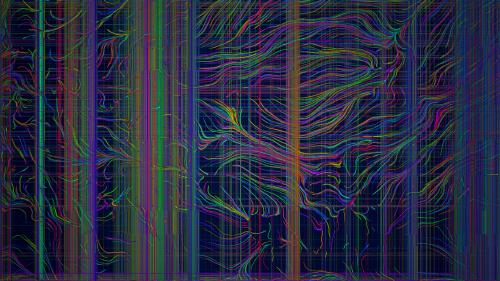 Flow Field