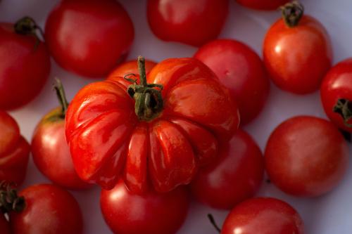 Ripe tomatoes