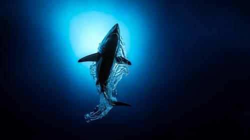 Beneath