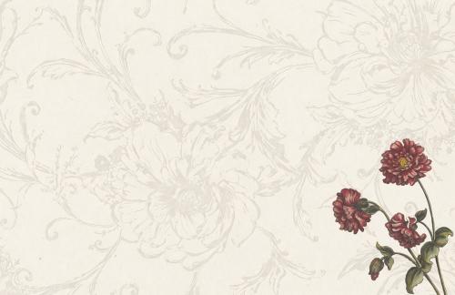 A calm and beautiful flower - made for macbooks