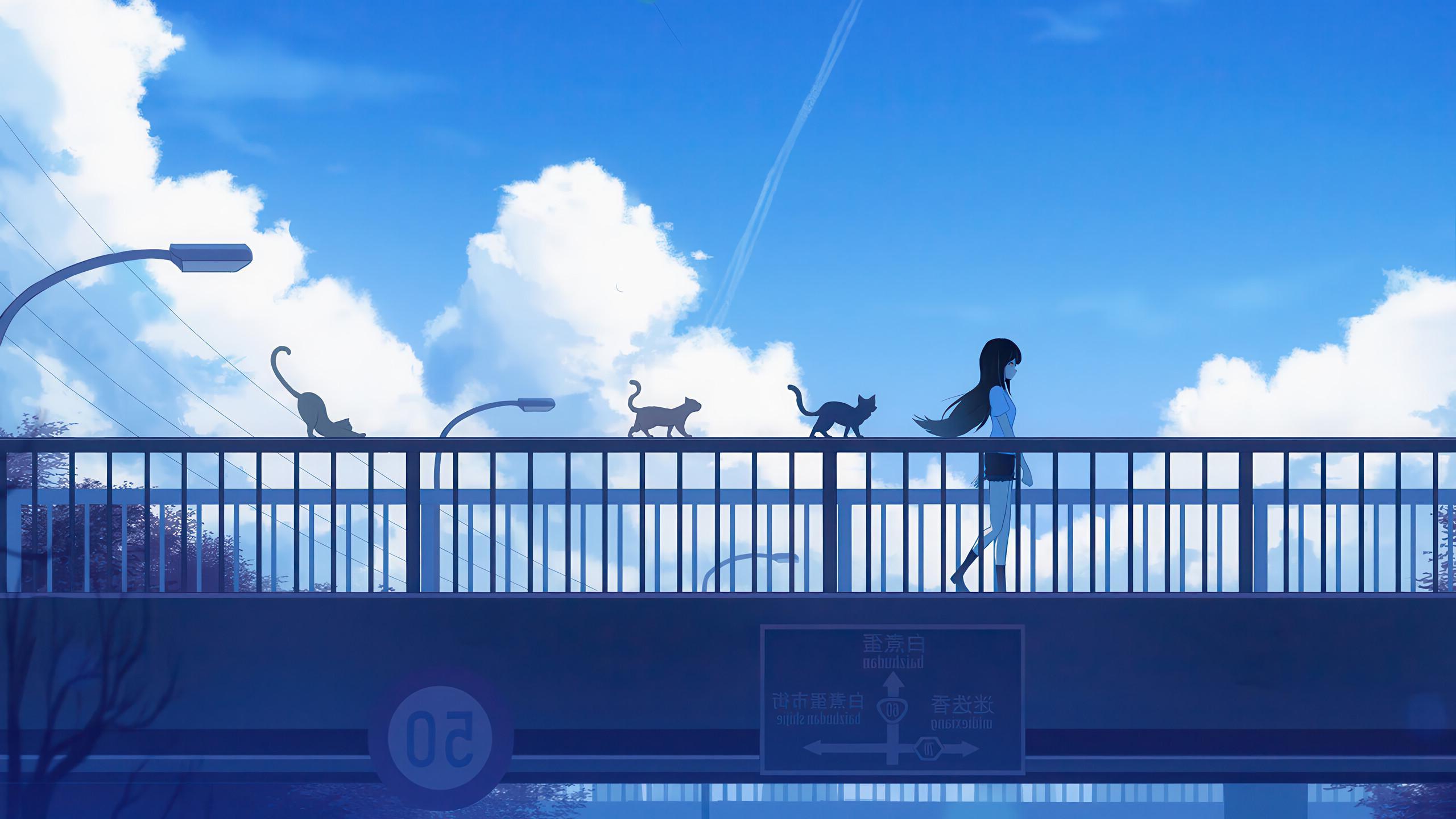 Wallpaper image