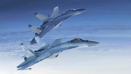Chinese su35 &amp; J11D by garlic huang