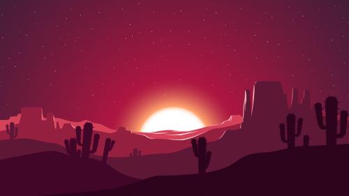 Desert, cactus, sunset