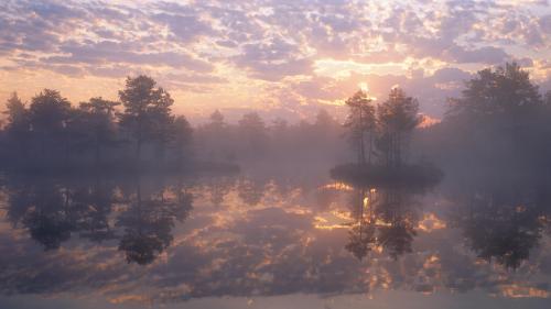 Knuthjödmossen, a nature reserve in Sweden  UHD Wallpaper
