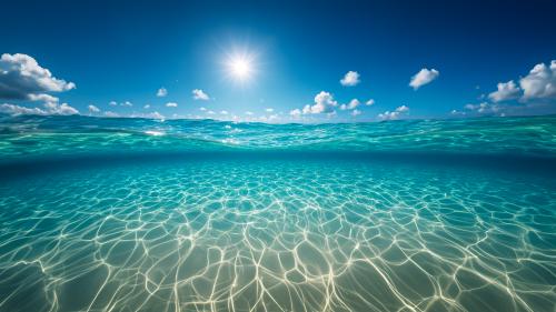 Liquid Light