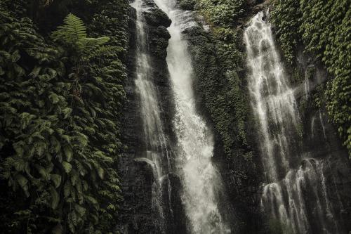 Bali Sekumpul Waterfalls 🌴