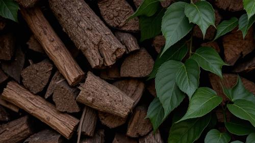 Leaves on a woodpile.