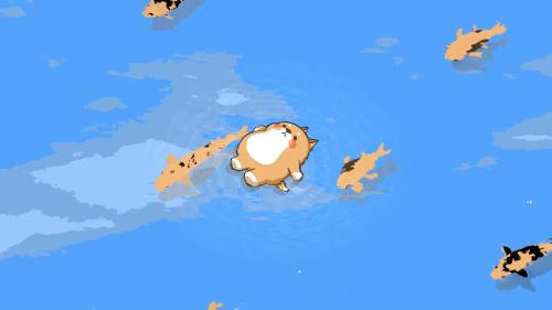 Live Wallpaper - Shiba Floating with Koi