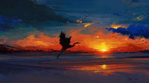Flying bird at sunset
