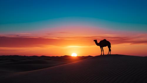 East of the sun