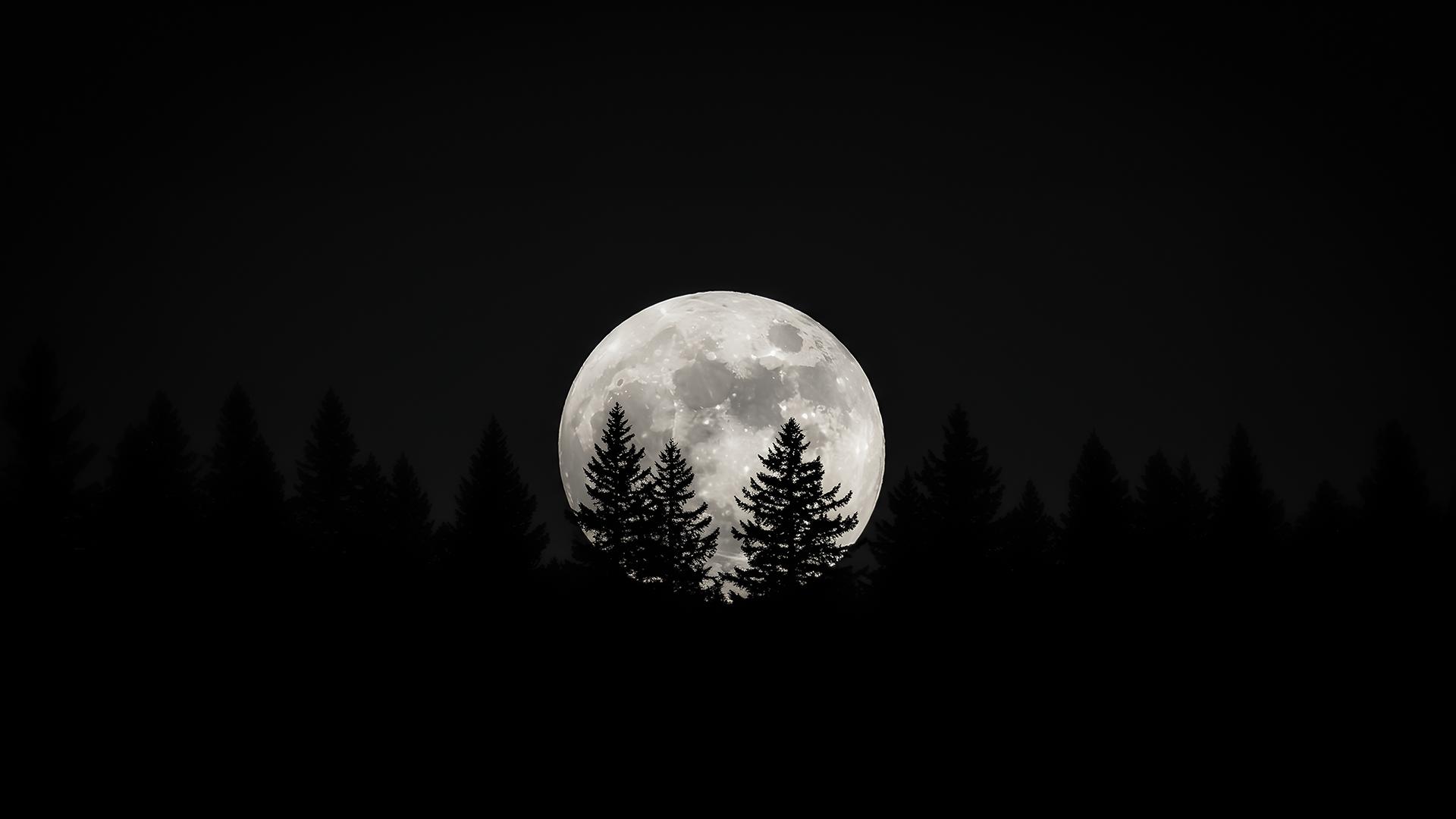 Wallpaper image