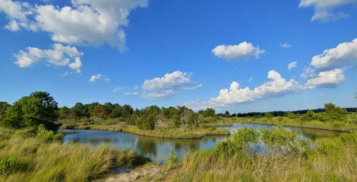 Pleasure House Nature Area, Virginia Beach, VA