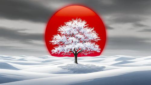 White Oak,Red Sun