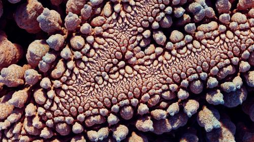 Kaleidoscopic IFS Fractal render