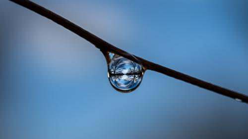 It's a tiny world
