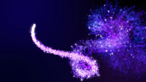 Sparkle  Animated version in the comments