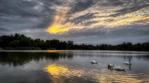 Prospect Park, Brooklyn #1