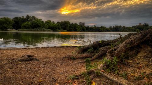 Prospect Park, Brooklyn #2