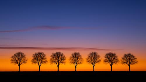 Silhouettes